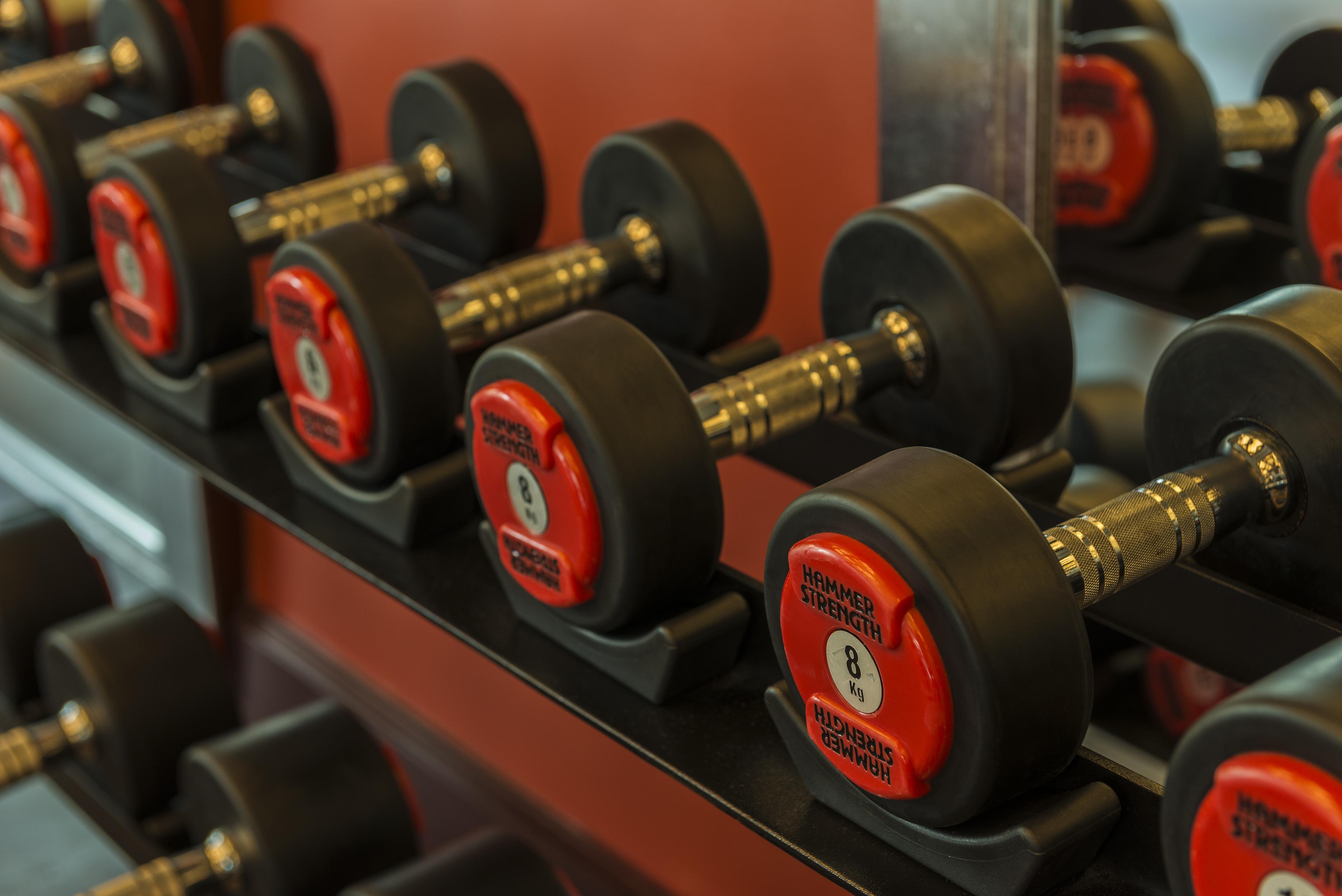 Sofitel Dubai Jumeirah Beach Hotel Exterior photo Dumbbells